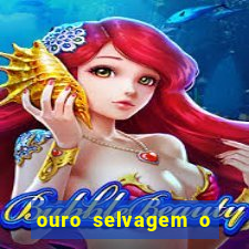 ouro selvagem o que aconteceu na vida