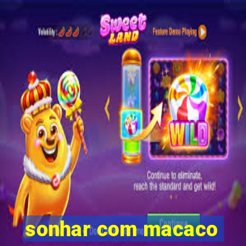 sonhar com macaco