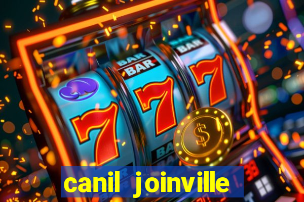 canil joinville vila nova