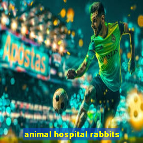 animal hospital rabbits