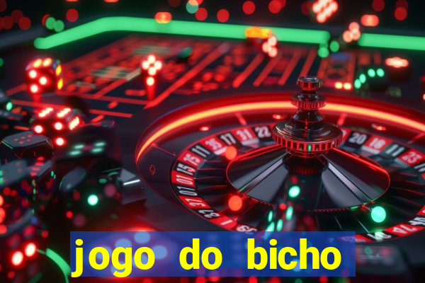 jogo do bicho crash bingo