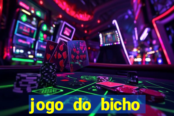 jogo do bicho crash bingo