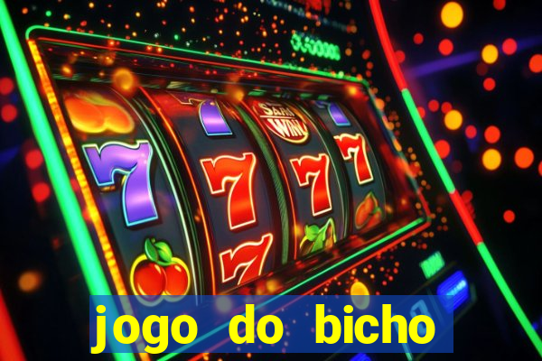 jogo do bicho crash bingo