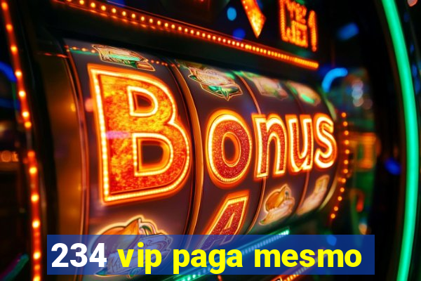 234 vip paga mesmo