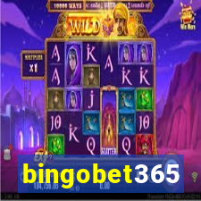 bingobet365