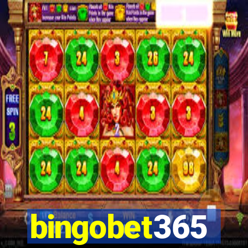 bingobet365