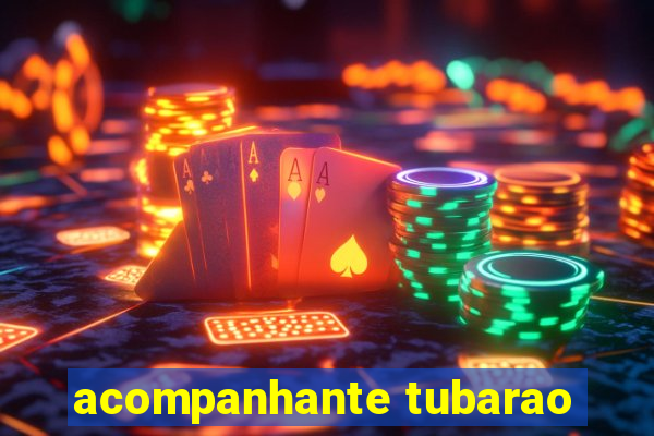 acompanhante tubarao