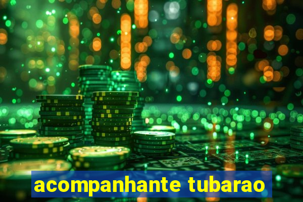 acompanhante tubarao