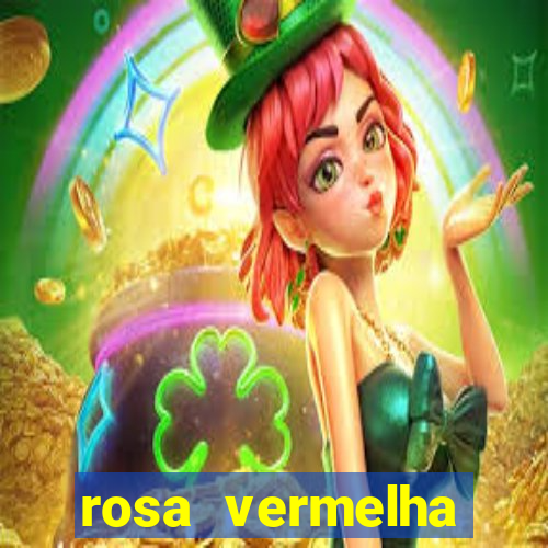 rosa vermelha (letra e cifra)