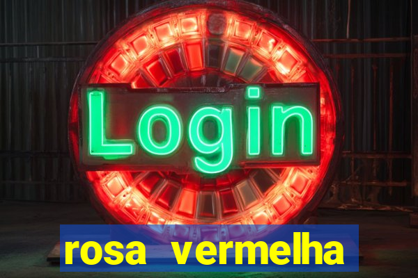 rosa vermelha (letra e cifra)