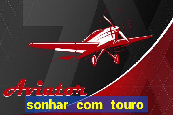 sonhar com touro bravo no mundo espiritual