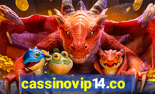 cassinovip14.com