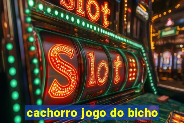 cachorro jogo do bicho