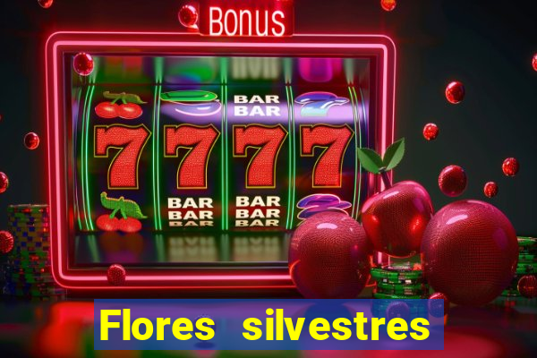 Flores silvestres brasileiras 25