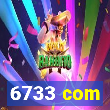 6733 com