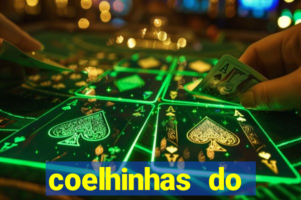 coelhinhas do brasil site