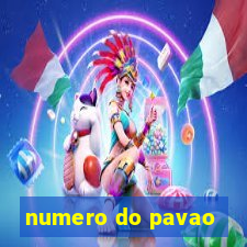 numero do pavao