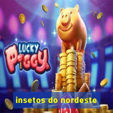 insetos do nordeste