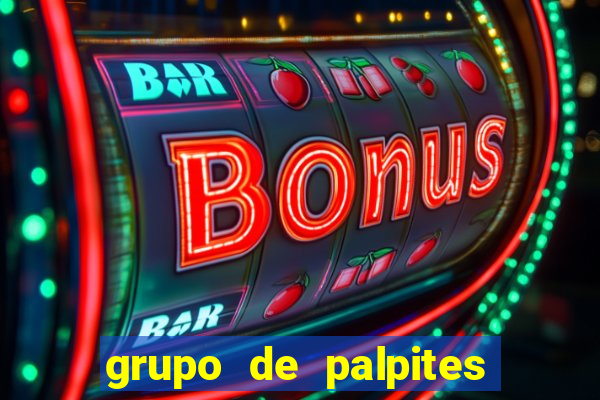 grupo de palpites de futebol whatsapp