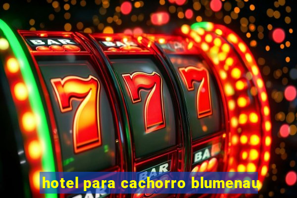 hotel para cachorro blumenau