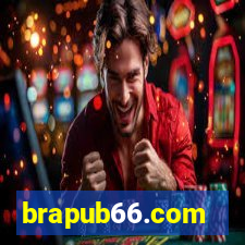 brapub66.com