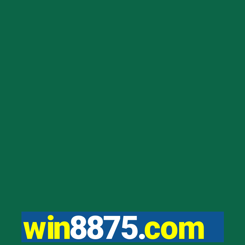 win8875.com