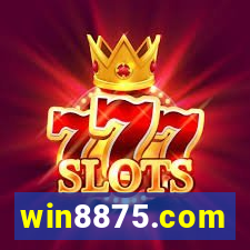 win8875.com