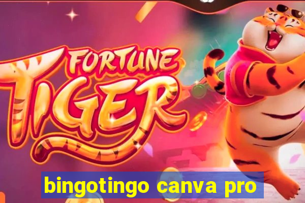 bingotingo canva pro