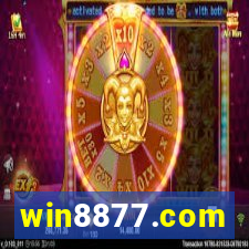 win8877.com