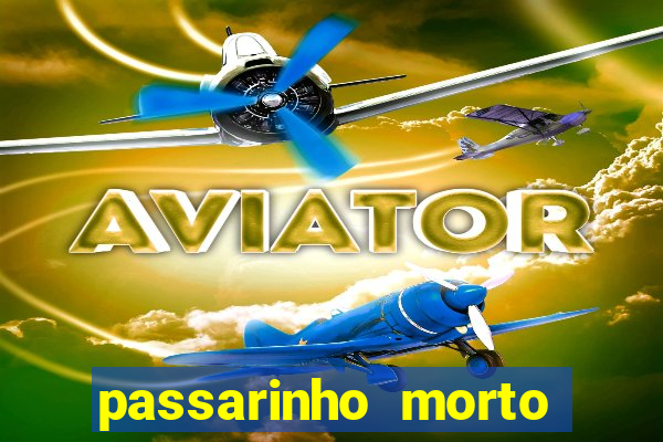 passarinho morto significado espiritual