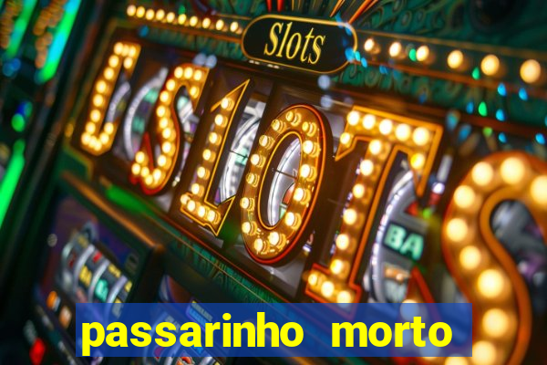 passarinho morto significado espiritual