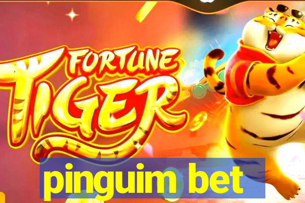 pinguim bet