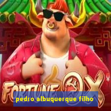 pedro albuquerque filho