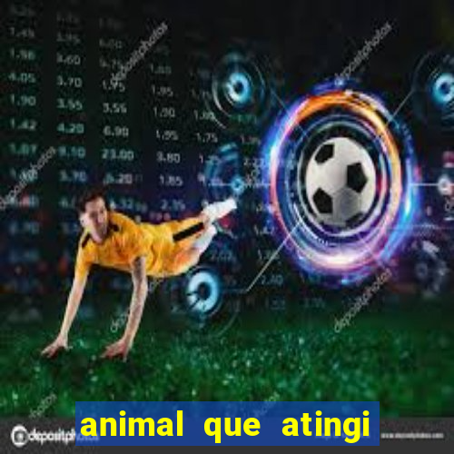 animal que atingi 230 decibeis