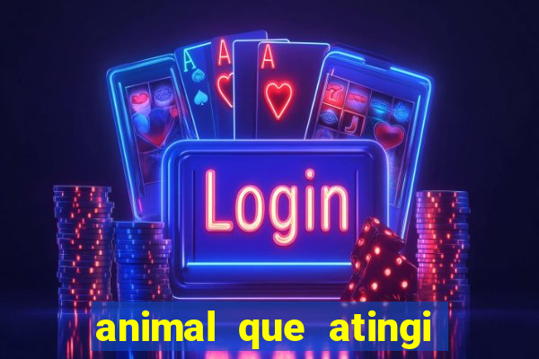 animal que atingi 230 decibeis