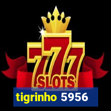 tigrinho 5956