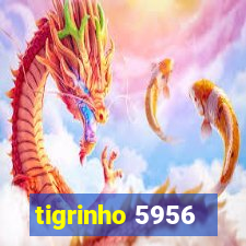 tigrinho 5956