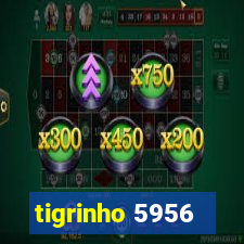 tigrinho 5956