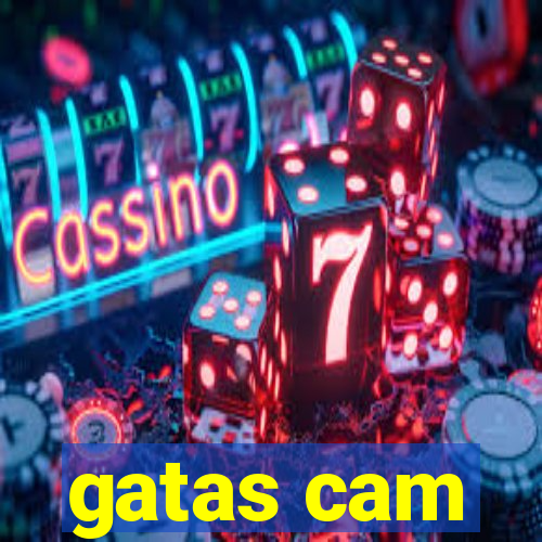 gatas cam