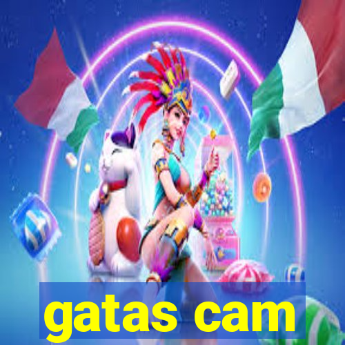 gatas cam