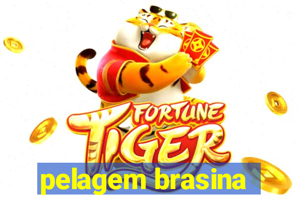 pelagem brasina