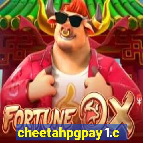 cheetahpgpay1.com