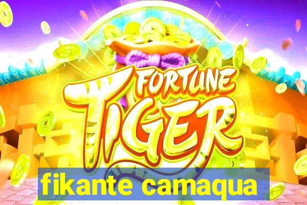 fikante camaqua