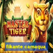 fikante camaqua