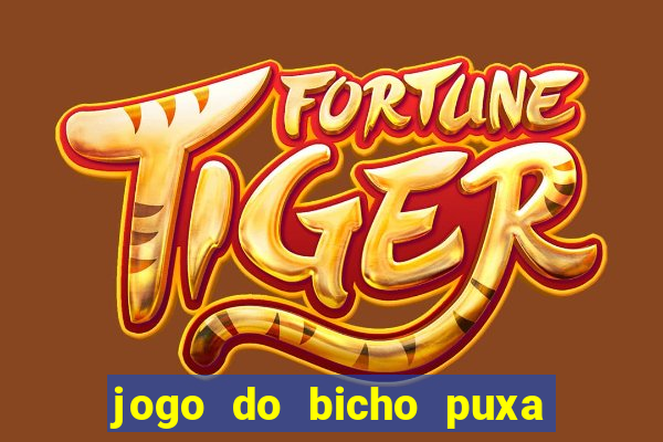 jogo do bicho puxa de dona maria