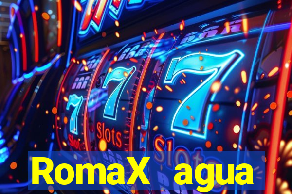 RomaX agua sanitaria fispq agua sanitaria romax