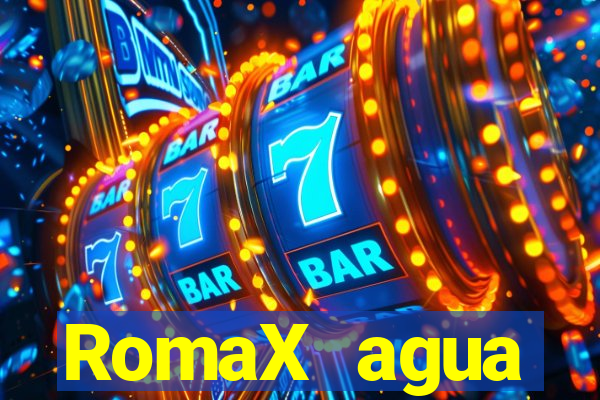 RomaX agua sanitaria fispq agua sanitaria romax