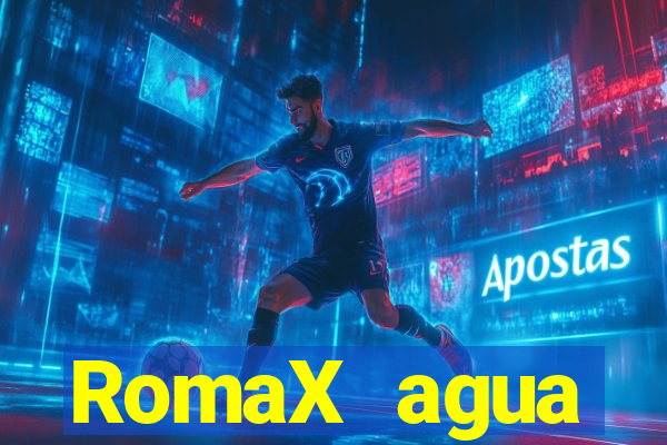 RomaX agua sanitaria fispq agua sanitaria romax