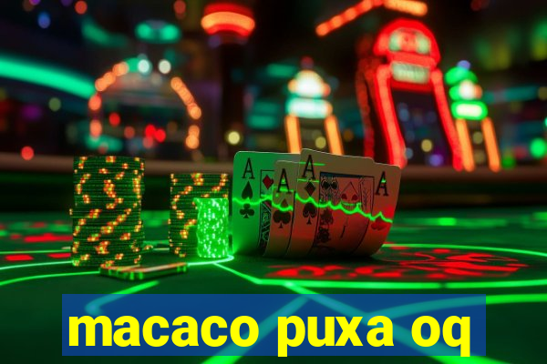 macaco puxa oq