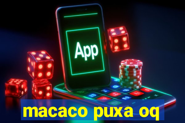 macaco puxa oq